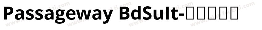 Passageway BdSuIt字体转换